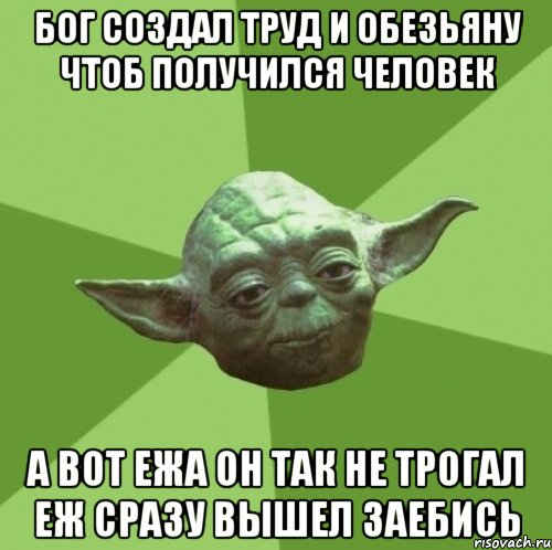 бог создал труд и обезьяну чтоб получился человек а вот ежа он так не трогал еж сразу вышел заебись, Мем Мастер Йода