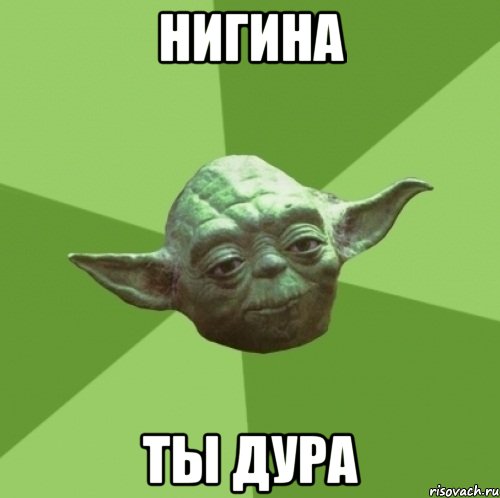 Нигина Ты дура, Мем Мастер Йода