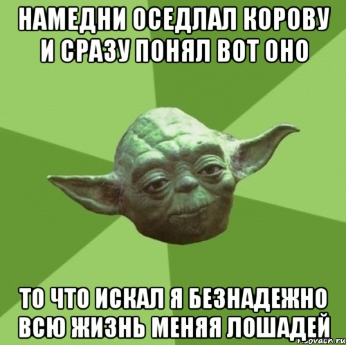 намедни оседлал корову и сразу понял вот оно то что искал я безнадежно всю жизнь меняя лошадей, Мем Мастер Йода