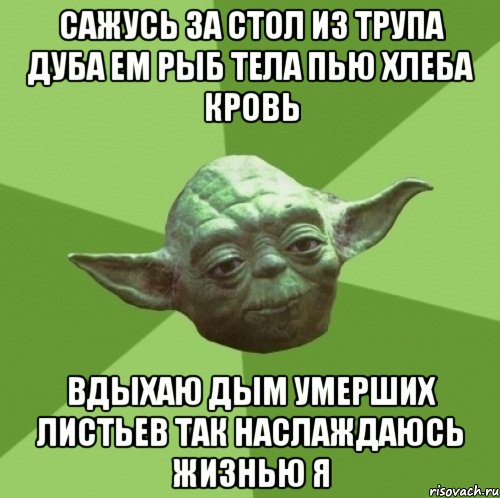 сажусь за стол из трупа дуба ем рыб тела пью хлеба кровь вдыхаю дым умерших листьев так наслаждаюсь жизнью я, Мем Мастер Йода