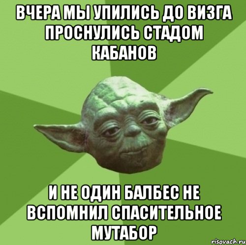 вчера мы упились до визга проснулись стадом кабанов и не один балбес не вспомнил спасительное мутабор, Мем Мастер Йода