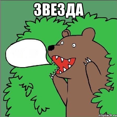 Звезда , Мем Медведь-шлюха