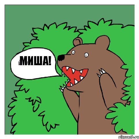 МИША! 