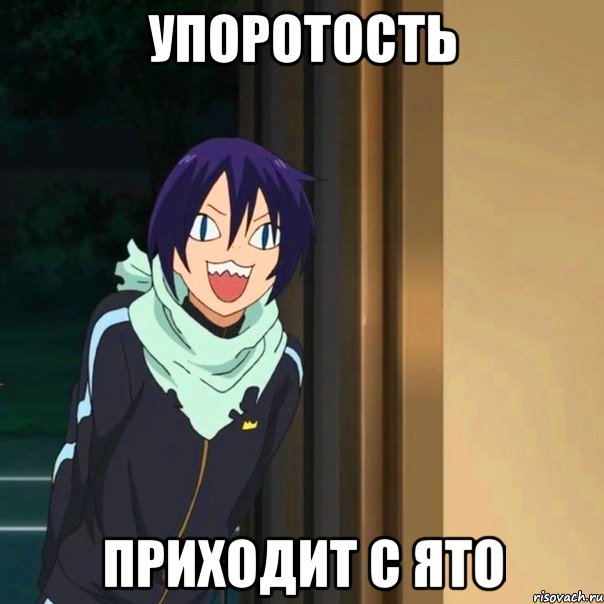 Упоротость приходит с Ято, Мем мем