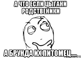 А что если Цыгани родственики а брунда их питомец...., Мем Мне кажется или