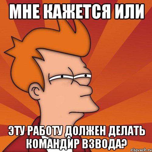 МНЕ КАЖЕТСЯ ИЛИ ЭТУ РАБОТУ ДОЛЖЕН ДЕЛАТЬ КОМАНДИР ВЗВОДА?, Мем Мне кажется или (Фрай Футурама)