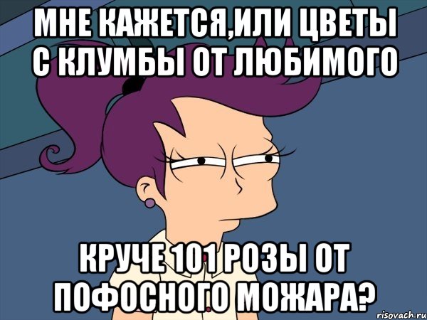 мне кажется,или цветы с клумбы от любимого круче 101 розы от пофосного можара?, Мем Мне кажется или (с Лилой)