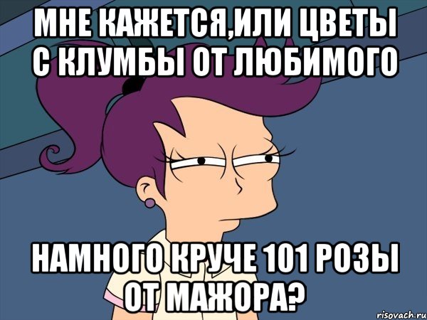 мне кажется,или цветы с клумбы от любимого намного круче 101 розы от мажора?, Мем Мне кажется или (с Лилой)