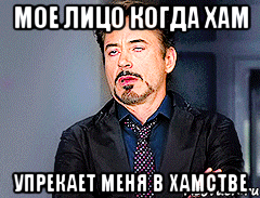 Мое лицо когда хам Упрекает меня в хамстве