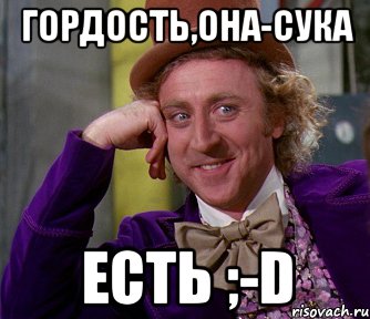 гордость,она-сука есть ;-d, Мем мое лицо