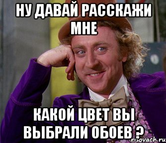 Ну давай расскажи мне Какой цвет вы выбрали обоев ?, Мем мое лицо