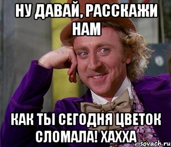 НУ ДАВАЙ, РАССКАЖИ НАМ КАК ТЫ СЕГОДНЯ ЦВЕТОК СЛОМАЛА! ХАХХА, Мем мое лицо