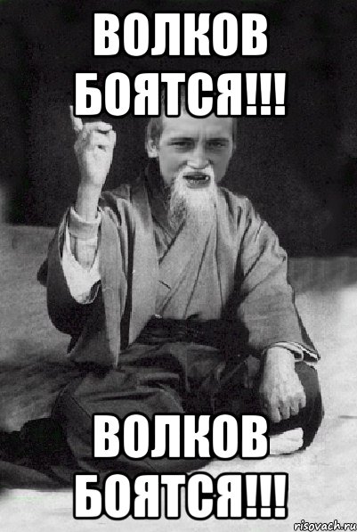 ВОЛКОВ БОЯТСЯ!!! ВОЛКОВ БОЯТСЯ!!!, Мем Мудрий паца