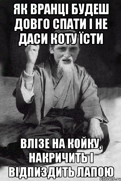 як вранці будеш довго спати і не даси коту їсти влізе на койку, накричить і відпиздить лапою, Мем Мудрий паца