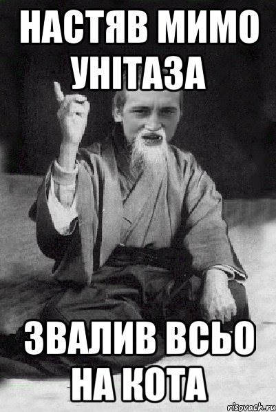 НАСТЯВ МИМО УНІТАЗА ЗВАЛИВ ВСЬО НА КОТА, Мем Мудрий паца