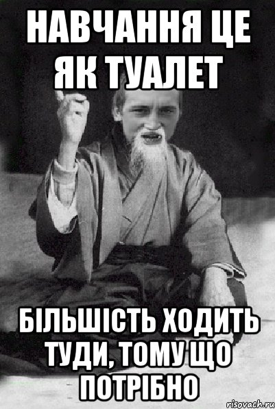 навчання це як туалет більшість ходить туди, тому що потрібно, Мем Мудрий паца