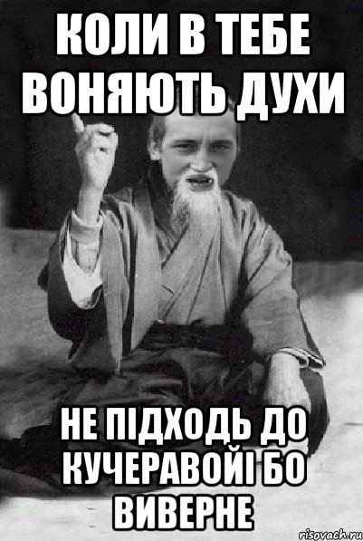 Коли в тебе воняють духи Не підходь до кучеравойі бо виверне, Мем Мудрий паца