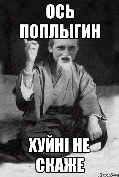 ось поплыгин хуйнi не скаже, Мем Мудрий паца