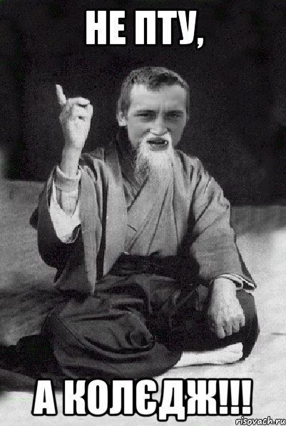 не ПТу, а колєдж!!!, Мем Мудрий паца