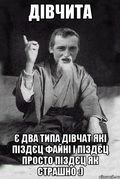 дівчита є два типа дівчат які піздєц файні і піздєц просто піздєц як страшно :), Мем Мудрий паца