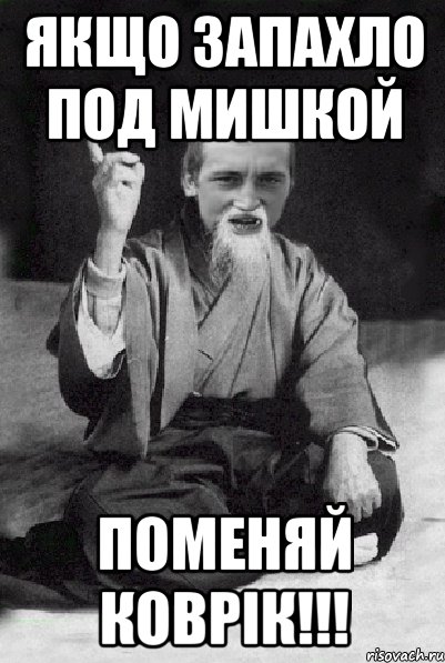 Якщо запахло под мишкой Поменяй коврік!!!, Мем Мудрий паца