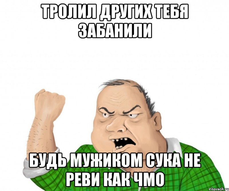 Тролил других тебя забанили Будь мужиком сука не реви как чмо, Мем мужик