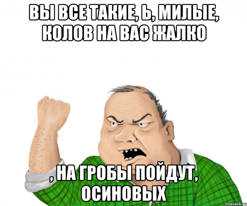 вы все такие, Ь, милые, колов на вас жалко , на гробы пойдут, осиновых, Мем мужик