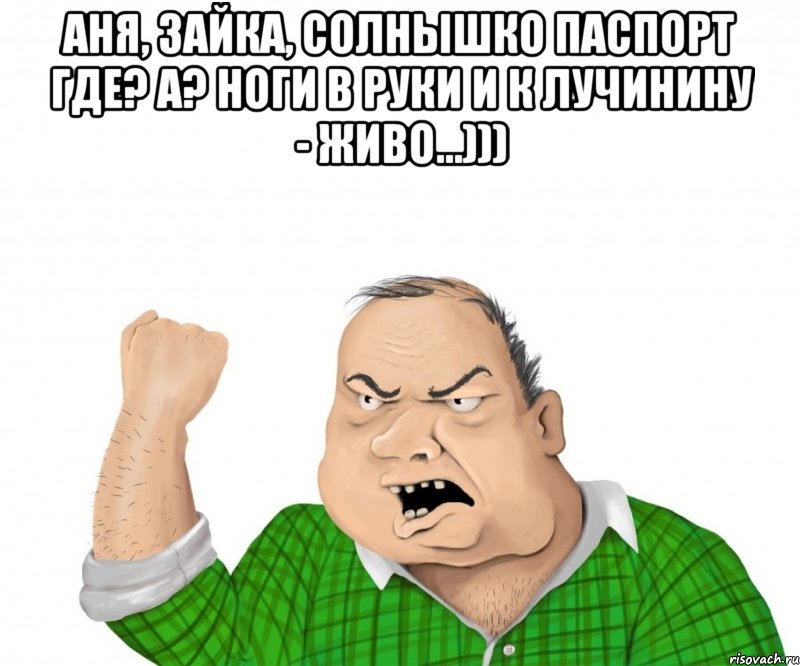 Аня, Зайка, Солнышко Паспорт где? А? Ноги в руки и к Лучинину - живо...))) , Мем мужик