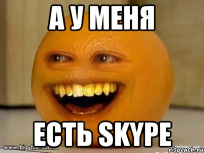 А У МЕНЯ ЕСТЬ SKYPE, Мем Надоедливый апельсин