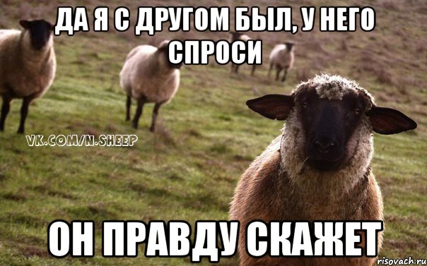 да я с другом был, у него спроси он правду скажет, Мем  Наивная Овца