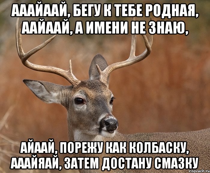 ааайаай, бегу к тебе родная, аайаай, а имени не знаю, айаай, порежу как колбаску, ааайяай, затем достану смазку, Мем  Наивный Олень v2