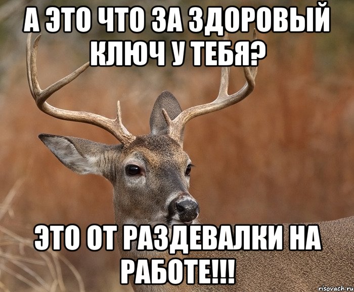 а это что за здоровый ключ у тебя? это от раздевалки на работе!!!, Мем  Наивный Олень v2