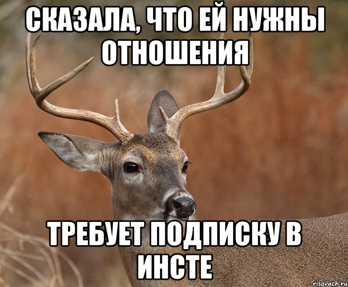 Сказала, что ей нужны отношения Требует подписку в инсте, Мем  Наивный Олень v2