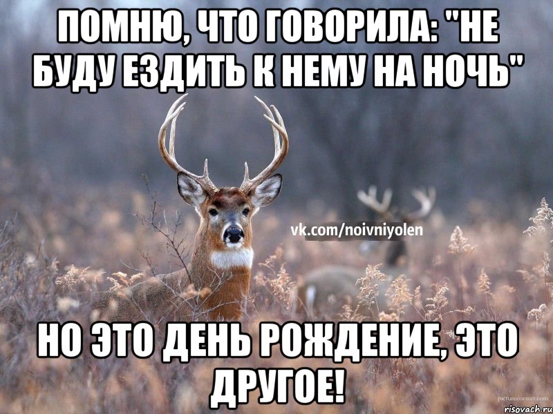 Помню, что говорила: "не буду ездить к нему на ночь" Но это день рождение, это другое!