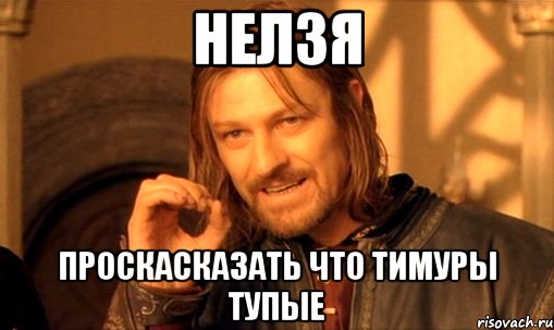 нелзя проскасказать что тимуры тупые