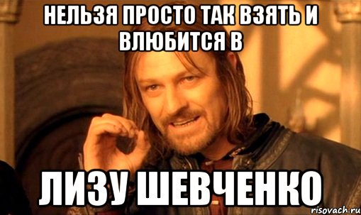 Нельзя просто так взять и влюбится в Лизу Шевченко