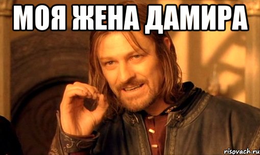 моя жена дамира , Мем Нельзя просто так взять и (Боромир мем)