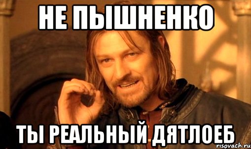 Не Пышненко Ты реальный дятлоеб, Мем Нельзя просто так взять и (Боромир мем)