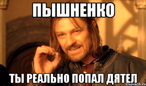 Пышненко Ты реально попал дятел, Мем Нельзя просто так взять и (Боромир мем)