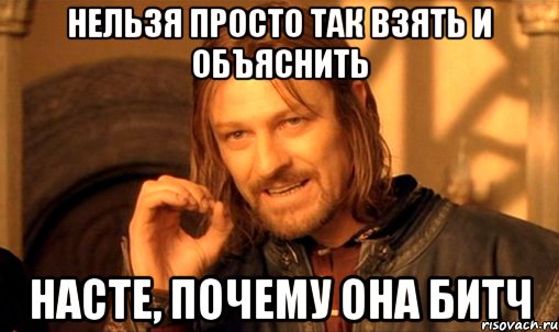 Нельзя просто так взять и объяснить Насте, почему она битч, Мем Нельзя просто так взять и (Боромир мем)