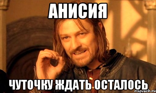 Анисия Чуточку ждать осталось, Мем Нельзя просто так взять и (Боромир мем)