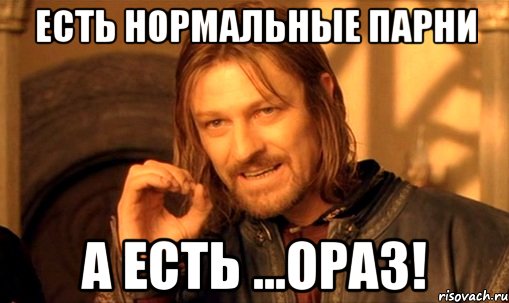 Есть нормальные парни а есть ...Ораз!, Мем Нельзя просто так взять и (Боромир мем)