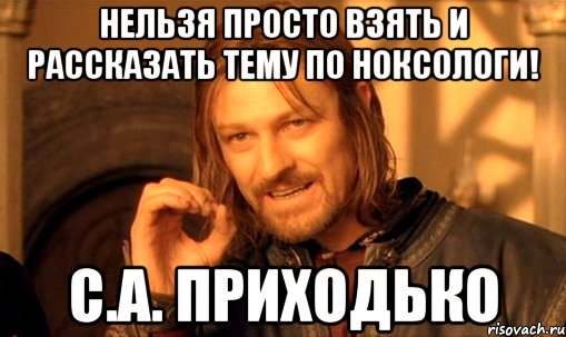 Нельзя просто взять и рассказать тему по ноксологи! С.А. Приходько, Мем Нельзя просто так взять и (Боромир мем)