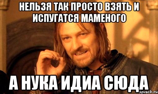 Нельзя так просто взять И испугатся маменого А нука идиа сюда, Мем Нельзя просто так взять и (Боромир мем)