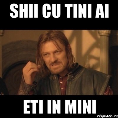 Shii cu tini ai eti in mini, Мем Нельзя просто взять