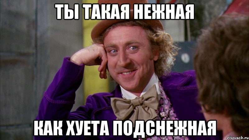 Ты такая нежная Как хуета подснежная, Мем Ну давай расскажи (Вилли Вонка)