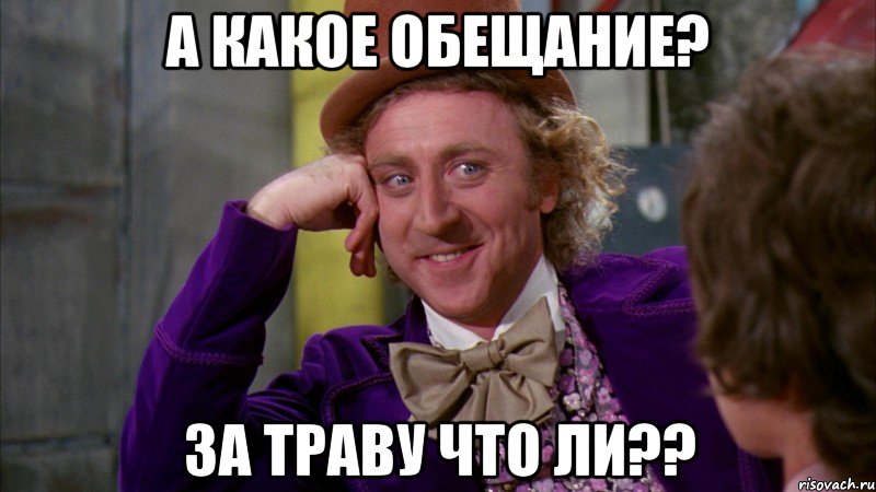а какое обещание? за траву что ли??, Мем Ну давай расскажи (Вилли Вонка)