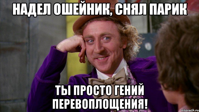 надел ошейник, снял парик ты просто гений перевоплощения!, Мем Ну давай расскажи (Вилли Вонка)