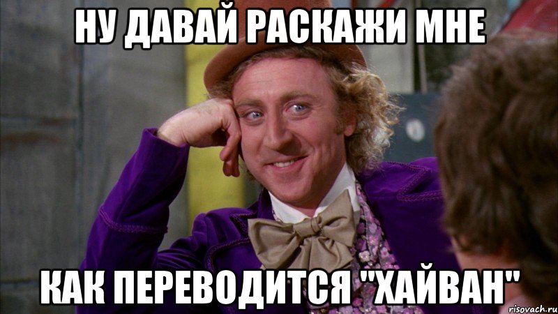 Ну давай раскажи мне Как переводится "хайван", Мем Ну давай расскажи (Вилли Вонка)