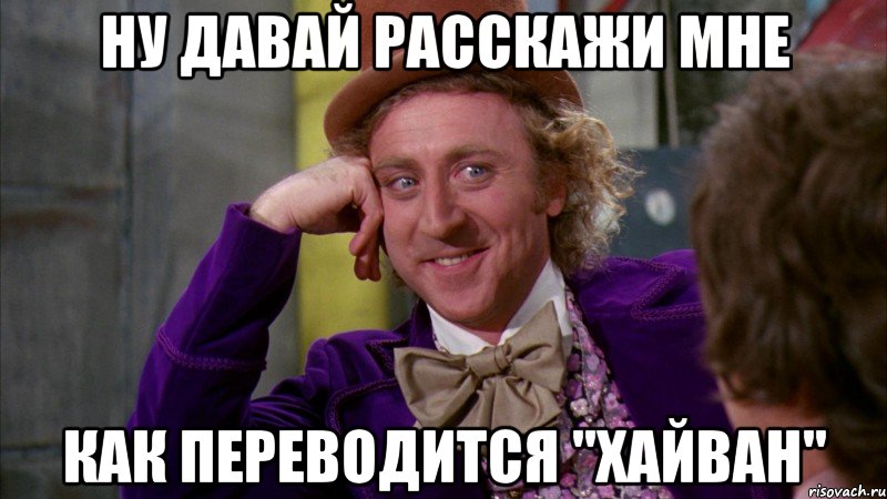 Ну давай расскажи мне Как переводится "хайван", Мем Ну давай расскажи (Вилли Вонка)